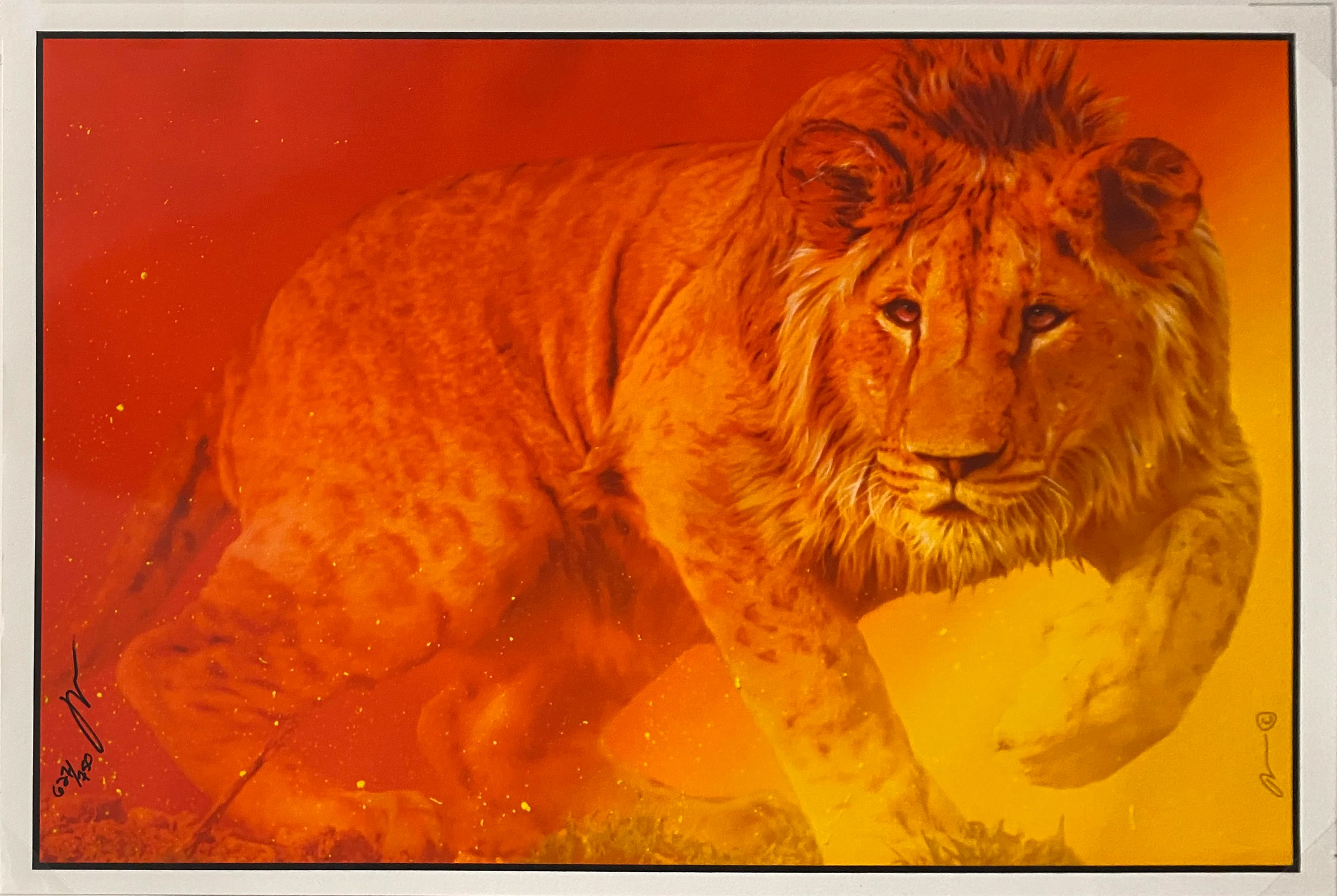 Thumbnail 1